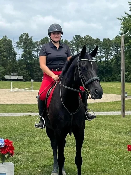 Rider on a black horse in show attire