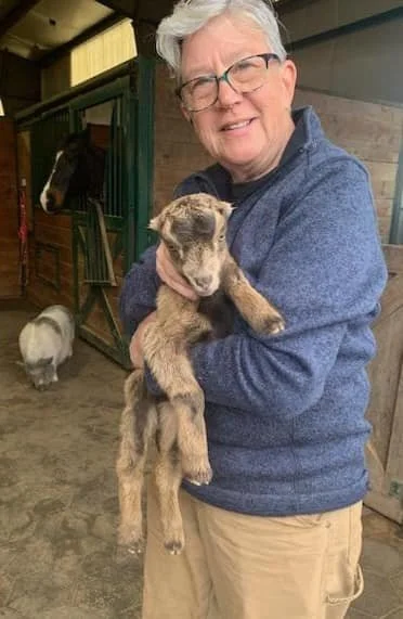 Helen Messenger holding a baby goat in the barn