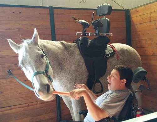 Rider using an adaptive saddle feeding a horse a carrot